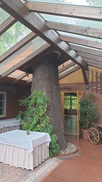BLOG_Baum10.jpg