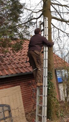 Gartenarbeit