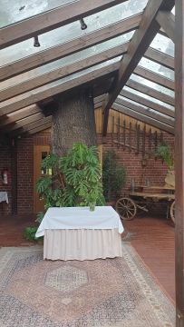 BLOG_Baum9.jpg