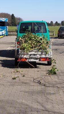 Gartenarbeit