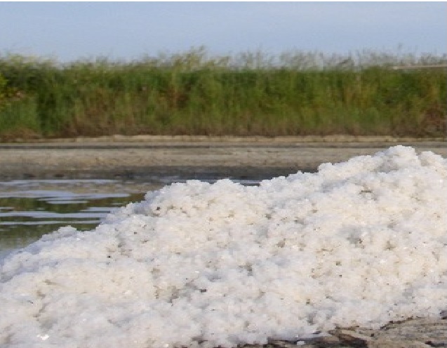 Salz aus der Saline